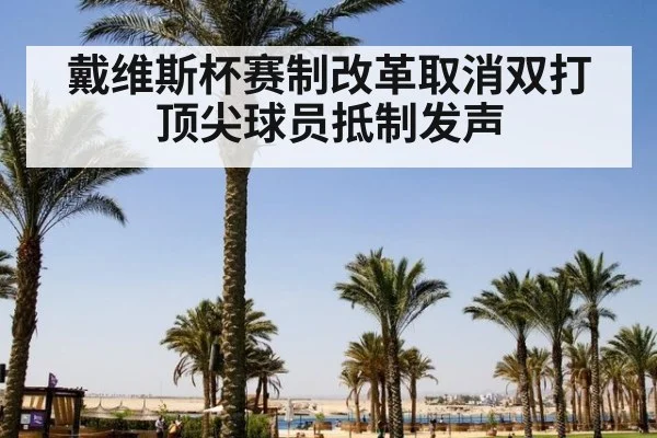 戴维斯杯赛制改革取消双打顶尖球员抵制发声