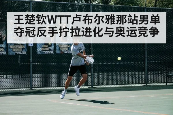 王楚钦WTT卢布尔雅那站男单夺冠反手拧拉进化与奥运竞争