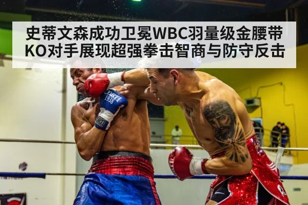 史蒂文森成功卫冕WBC羽量级金腰带KO对手展现超强拳击智商与防守反击