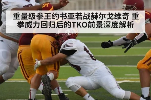 重量级拳王约书亚若战赫尔戈维奇 重拳威力回归后的TKO前景深度解析