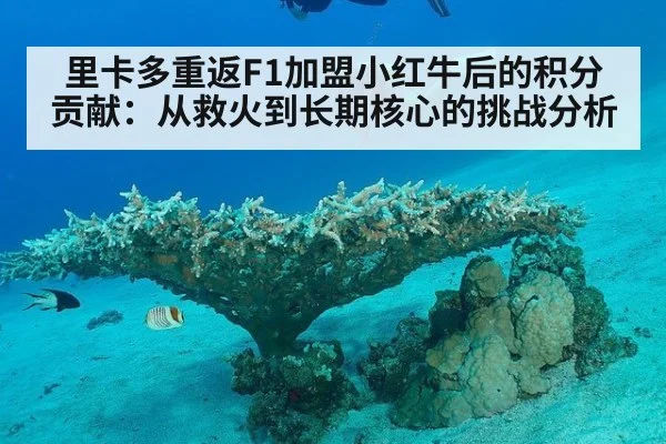 里卡多重返F1加盟小红牛后的积分贡献：从救火到长期核心的挑战分析